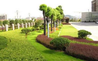 論綠化工程領(lǐng)域施工現(xiàn)狀與改進(jìn)措施